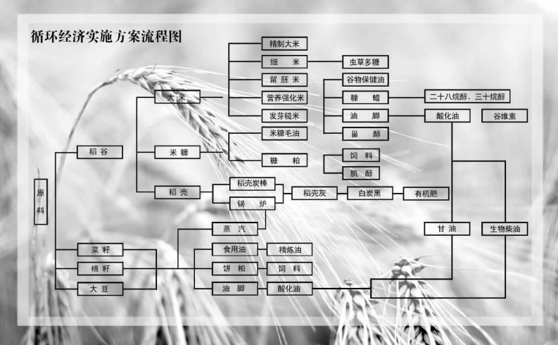生物柴油發(fā)電機發(fā)電